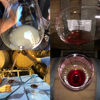 SLH Wine Month Sample Pack